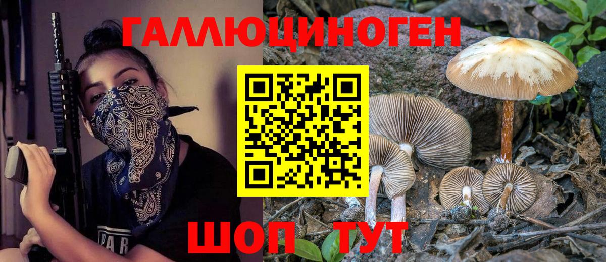 Майский  Галлюциногенные грибы мицелий  Вход с VPN 